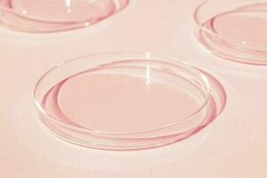 Petri dish. On a pink background. photo