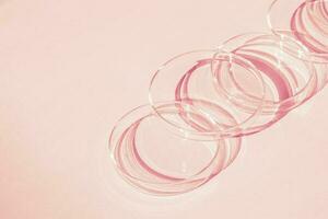 Petri dish. A set of Petri cups. A pipette, glass tube. On a pink background. photo