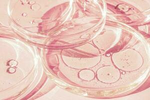 Petri dish. Petri cups with liquid. Kit. Chemical elements, oil, cosmetics. Gel, water, molecules, viruses. Close-up. On a pink background. photo