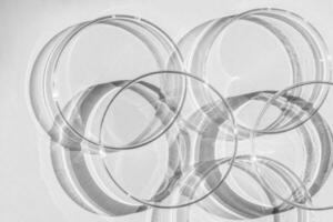 Petri dish. A set of Petri cups. A pipette, glass tube. On a white background. photo