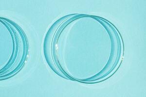 Petri dish. On a blue blue background. photo