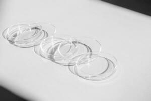 Petri dish. A set of Petri cups. On a white background. Laboratory half. photo