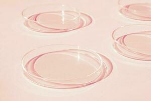 Petri dish. A set of Petri cups. A pipette, glass tube. On a pink background. photo