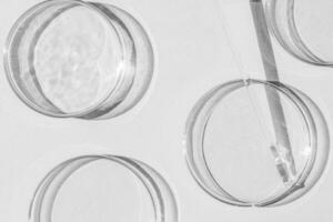 Petri dish. A set of Petri cups. On a white background. Laboratory half. photo