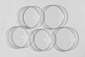 Petri dish. A set of Petri cups. On a white background. Laboratory half. photo