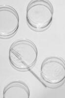 Petri dish. A set of Petri cups. On a white background. Laboratory half. photo