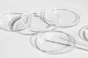 Petri dish. A set of Petri cups. On a white background. Laboratory half. photo