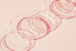 Petri dish. A set of Petri cups. A pipette, glass tube. On a pink background. photo