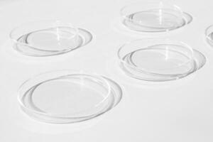 Petri dish. A set of Petri cups. On a white background. Laboratory half. photo