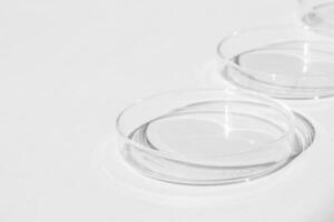 Petri dish. A set of Petri cups. On a white background. Laboratory half. photo