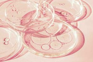 Petri dish. Petri cups with liquid. Kit. Chemical elements, oil, cosmetics. Gel, water, molecules, viruses. Close-up. On a pink background. photo