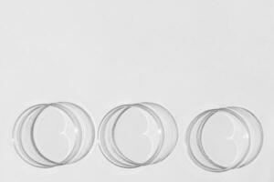 Petri dish. A set of Petri cups. A pipette, glass tube. On a white background. photo