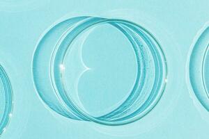 Petri dish. On a blue blue background. photo