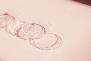 Petri dish. On a pink background. photo