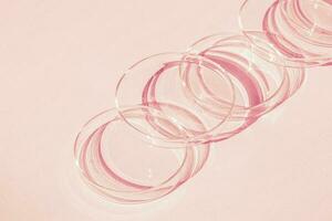 Petri dish. A set of Petri cups. A pipette, glass tube. On a pink background. photo