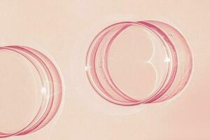 Petri dish. On a pink background. photo