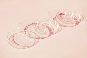 Petri dish. A set of Petri cups. A pipette, glass tube. On a pink background. photo