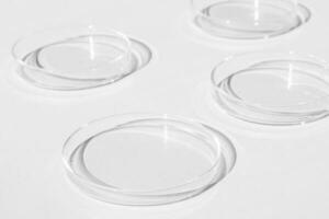 Petri dish. A set of Petri cups. On a white background. Laboratory half. photo