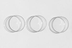 Petri dish. A set of Petri cups. On a white background. Laboratory half. photo