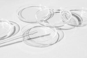 Petri dish. A set of Petri cups. On a white background. Laboratory half. photo