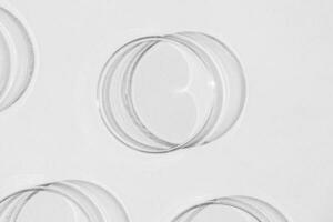 Petri dish. A set of Petri cups. On a white background. Laboratory half. photo