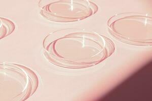 Petri dish. A set of Petri cups. A pipette, glass tube. On a pink background. photo