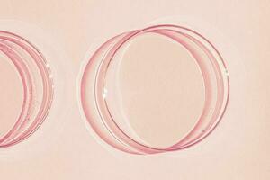 Petri dish. On a pink background. photo