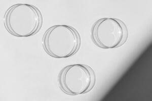 Petri dish. A set of Petri cups. On a white background. Laboratory half. photo