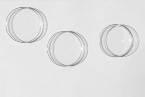 Petri dish. A set of Petri cups. A pipette, glass tube. On a white background. photo