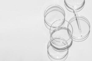 Petri dish. A set of Petri cups. On a white background. Laboratory half. photo