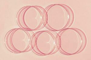 Petri dish. A set of Petri cups. A pipette, glass tube. On a pink background. photo