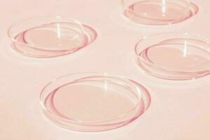 Petri dish. A set of Petri cups. A pipette, glass tube. On a pink background. photo