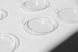 Petri dish. A set of Petri cups. On a white background. Laboratory half. photo