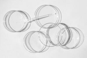 Petri dish. A set of Petri cups. On a white background. Laboratory half. photo