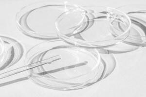 Petri dish. A set of Petri cups. On a white background. Laboratory half. photo