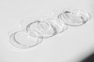 Petri dish. A set of Petri cups. On a white background. Laboratory half. photo