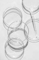 Petri dish. A set of Petri cups. On a white background. Laboratory half. photo