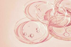 Petri dish. Petri cups with liquid. Kit. Chemical elements, oil, cosmetics. Gel, water, molecules, viruses. Close-up. On a pink background. photo