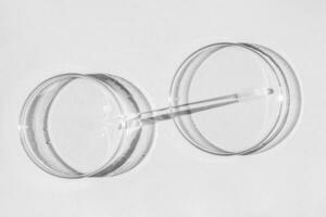 Petri dish. A set of Petri cups. A pipette, glass tube. On a white background. photo