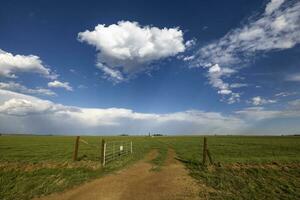 Open farm gate and dirt track that lead to a windmill photo