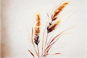 spikelets, rye, oats, wild flowers watercolor background for postcard photo