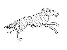 vector mano dibujado bosquejo caza setter perro