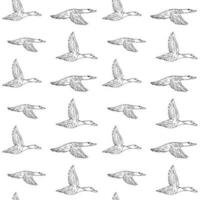 Vector seamless pattern of hand drawn flying duck