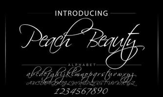 Hand drawn calligraphic vector monoline font. Distress signature letters. Modern script calligraphy type. ABC typography latin signature alphabet.