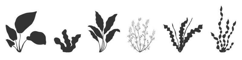 Seaweed silhouette. Black shadow of aquarium vegetation. Collection of alga elements for design. vector