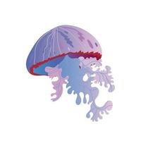 Jellyfish vector icon. Vector illustration of a colorful jellyfish on a white background.