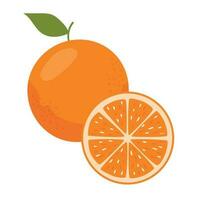 Juicy orange. Whole orange and orange slice isolated on white background. Vector design of an orange.