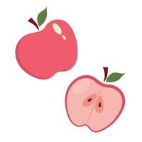 Pink juicy ripe apple, whole and in section. vector
