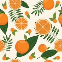 Orange pattern. Seamless pattern with oranges. vector