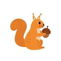 Vector illustration of cartoon cute squirrel isolated on white background.